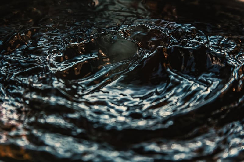 Fluid Movement Sequences