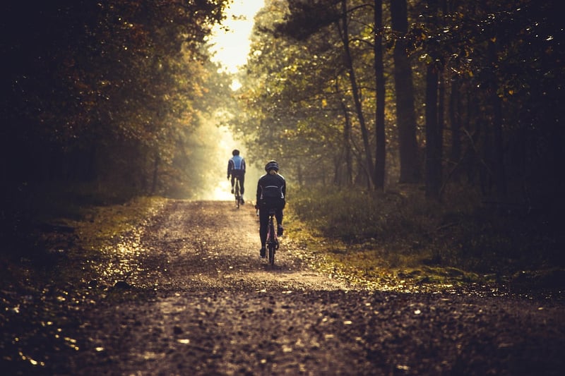 Silent Cycling